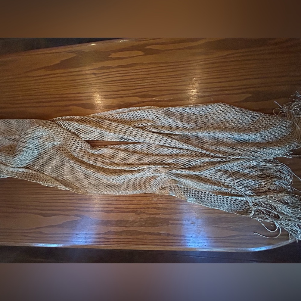 Gold Mesh with Fringe NWT RSVP scarf